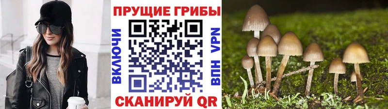 Галлюциногенные грибы прущие грибы сколько стоит Каргат